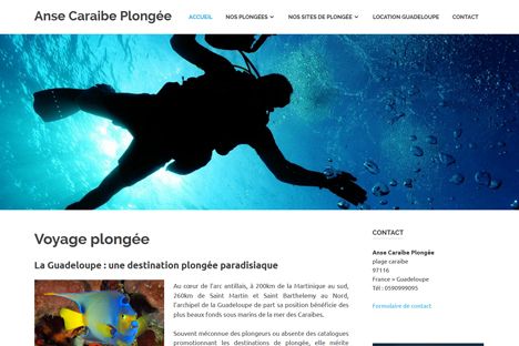 referencement de sites internet guadeloupe
